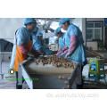 Bulk -Paket Chinesische Walnusskerne Viertel Lichtfarbe